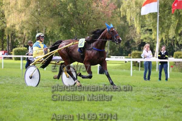 ET0Q0757 prot